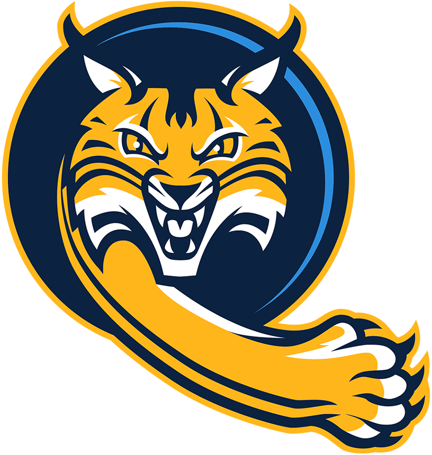 Quinnipiac Bobcats 2019-Pres Alternate Logo v4 DIY iron on transfer (heat transfer)
